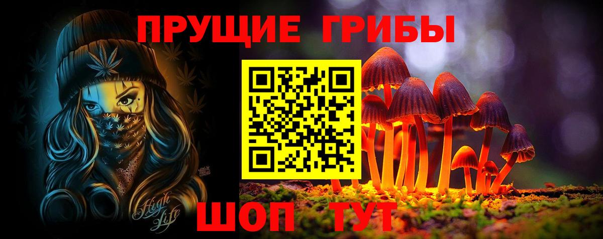 Псилоцибиновые грибы GOLDEN TEACHER Мариинск